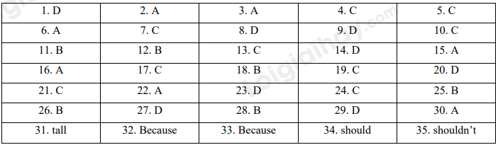 Đề thi học kì 1 Tiếng Anh 6 Global Success - Đề số 4 1 1