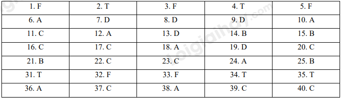 Đề thi học kì 1 Tiếng Anh 6 Global Success - Đề số 8 1 1