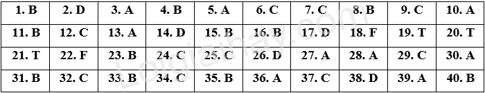 Đề thi học kì 1 Tiếng Anh 6 Global Success - Đề số 9 1 1