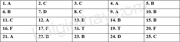 Đề thi học kì 1 Tiếng Anh 6 Right on! - Đề số 9 1 1