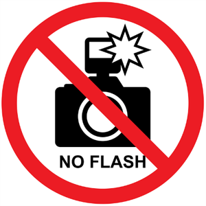 Đề thi học kì 1 Tiếng Anh 7 English Discovery - Đề số 7 0 2