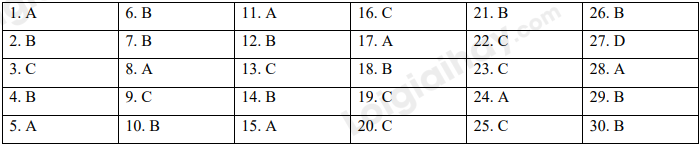 Đề thi học kì 1 Tiếng Anh 7 Friends Plus - Đề số 4 1 1