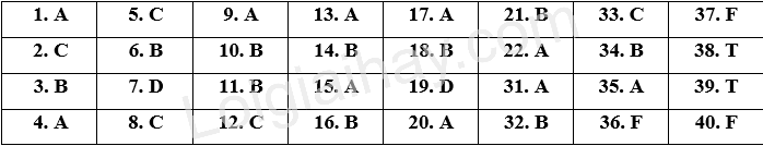 Đề thi học kì 1 Tiếng Anh 7 Global Success - Đề số 10 1 1