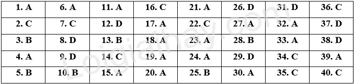 Đề thi học kì 1 Tiếng Anh 8 English Discovery - Đề số 7 1 1