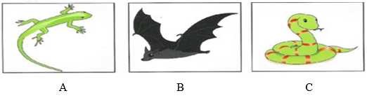 Đề thi học kì 1 Tiếng Anh 8 Global Success - Đề số 4 0 4