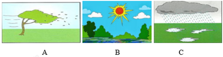 Đề thi học kì 1 Tiếng Anh 8 Global Success - Đề số 4 1 1