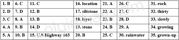 Đề thi học kì 1 Tiếng Anh 9 English Discovery - Đề số 1 1 1