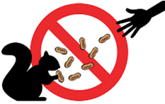 Đề thi học kì 1 Tiếng Anh 9 Friends Plus - Đề số 1 0 1