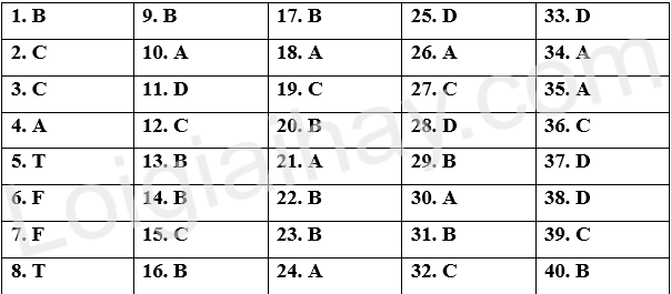 Đề thi học kì 1 Tiếng Anh 9 Global Success - Đề số 1 1 1