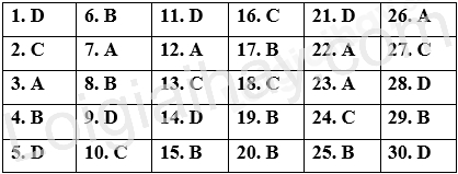 Đề thi học kì 1 Tiếng Anh 9 iLearn Smart World - Đề số 5 1 1