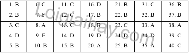 Đề thi học kì 2 Tiếng Anh 10 Bright - Đề số 1 1 1
