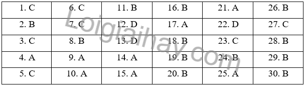 Đề thi học kì 2 Tiếng Anh 10 Global Success - Đề số 2 1 1