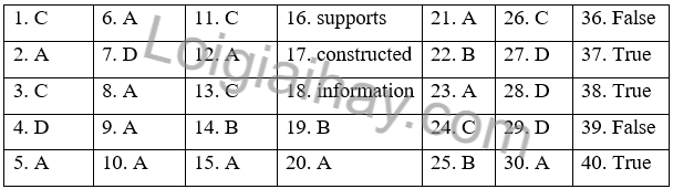 Đề thi học kì 2 Tiếng Anh 10 Global Success - Đề số 4 1 1