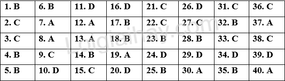 Đề thi học kì 2 Tiếng Anh 11 iLearn Smart World - Đề số 7 1 1