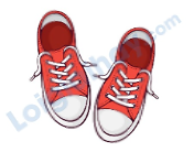 Đề thi học kì 2 Tiếng Anh 4 Family and Friends - Đề số 1 1 6