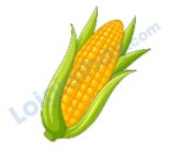 Đề thi học kì 2 Tiếng Anh 4 Family and Friends - Đề số 1 1 8