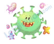 Đề thi học kì 2 Tiếng Anh 4 Family and Friends - Đề số 7 1 12