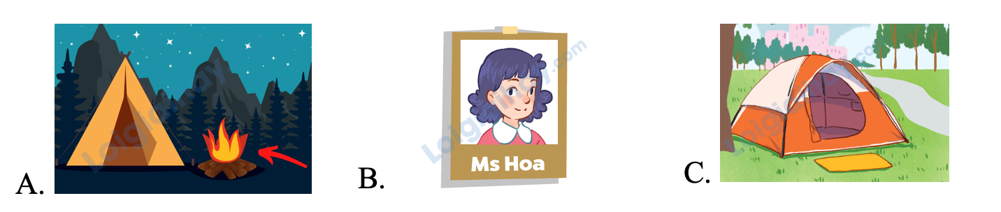 Đề thi học kì 2 Tiếng Anh 4 Global Success - Đề số 5 0 1