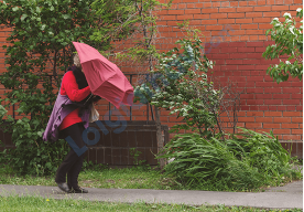 Đề thi học kì 2 Tiếng Anh 4 Global Success - Đề số 5 0 14