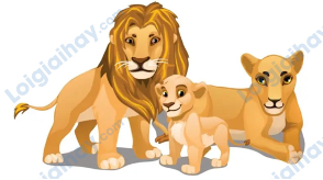 Đề thi học kì 2 Tiếng Anh 4 Global Success - Đề số 6 0 4