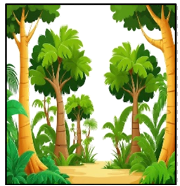 Đề thi học kì 2 Tiếng Anh 5 Family and Friends - Đề số 3 1 1