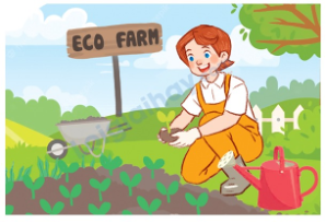 Đề thi học kì 2 Tiếng Anh 5 Global Success - Đề số 1 1 2