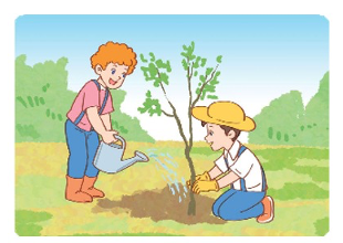 Đề thi học kì 2 Tiếng Anh 5 Global Success - Đề số 2 0 12