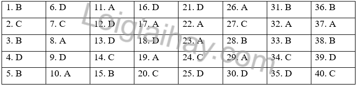 Đề thi học kì 2 Tiếng Anh 6 iLearn Smart World - Đề số 5 1 1