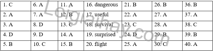 Đề thi học kì 2 Tiếng Anh 7 Friends Plus - Đề số 2 1 1
