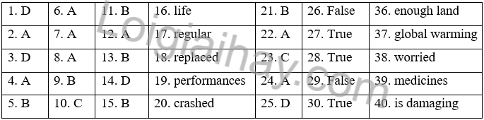 Đề thi học kì 2 Tiếng Anh 7 Global Success - Đề số 2 1 1