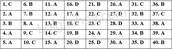 Đề thi học kì 2 Tiếng Anh 8 Friends Plus - Đề số 6 1 1