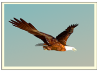 Đề thi học kì 2 Tiếng Anh 8 Global Success - Đề số 1 1 15