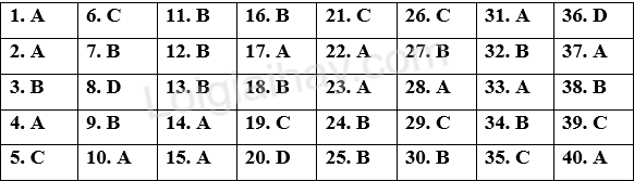 Đề thi học kì 2 Tiếng Anh 9 Global Success - Đề số 3 1 1