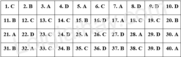 Đề thi minh hoạ vào 10 môn Anh Hà Nội năm 2025 1 1