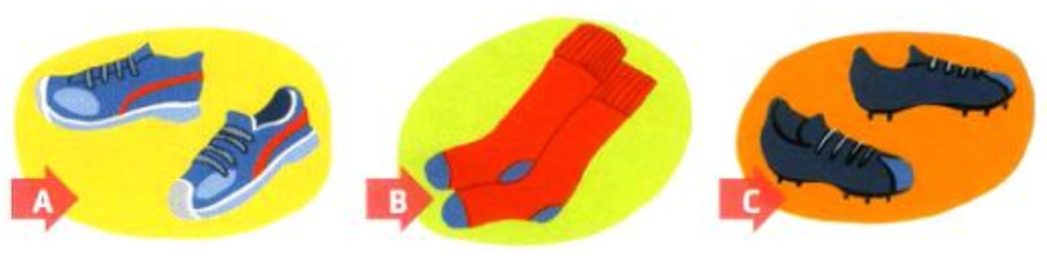 Đề thi thử vào lớp 6 môn Tiếng Anh trường Amsterdam năm 2024 0 1