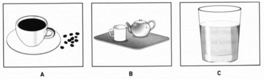 Đề thi thử vào lớp 6 môn Tiếng Anh trường Amsterdam năm 2024 0 4