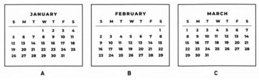 Đề thi thử vào lớp 6 môn Tiếng Anh trường Amsterdam năm 2024 0 5