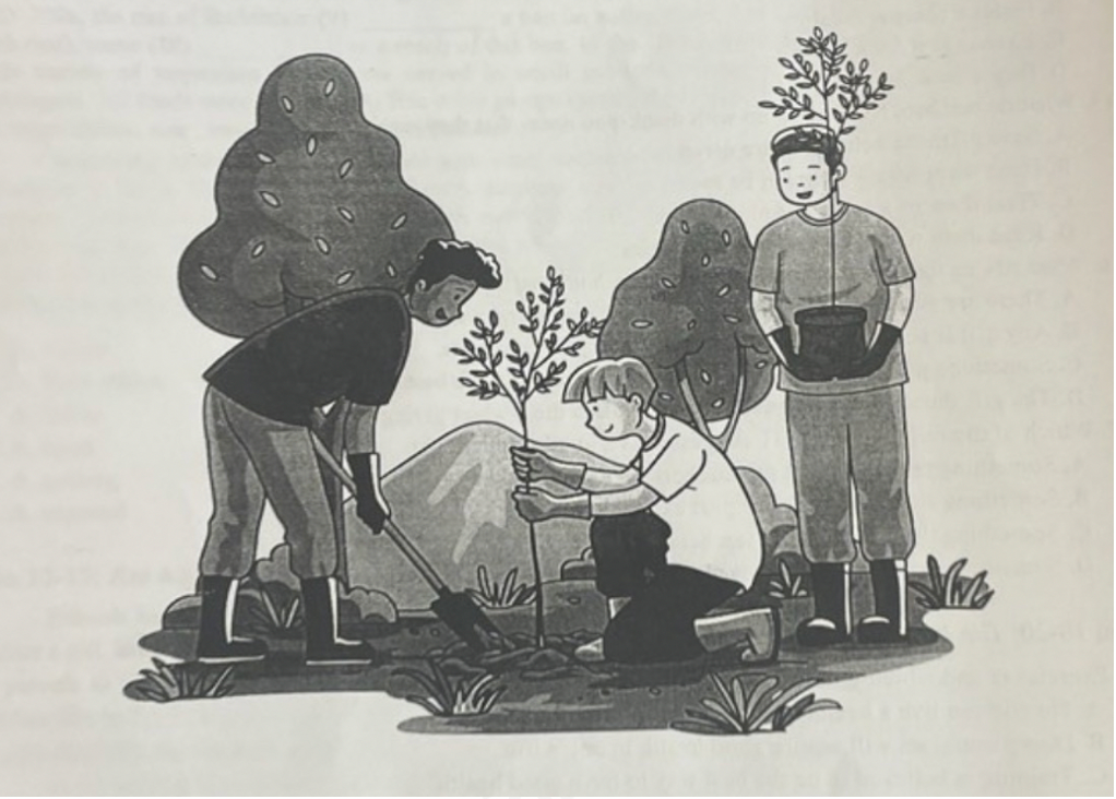 Đề thi thử vào lớp 6 môn Tiếng Anh trường THCS Ngoại Ngữ năm 2024 0 1