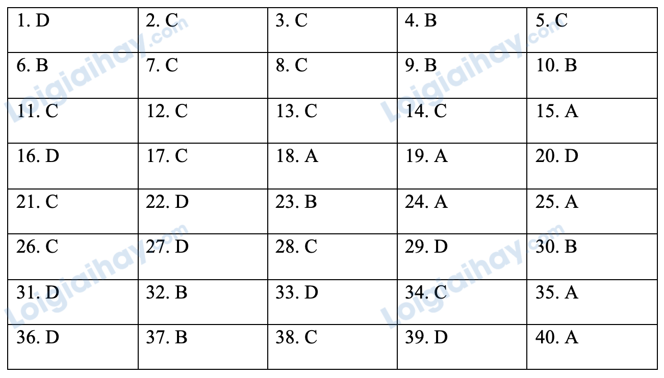 Đề thi thử vào lớp 6 môn Tiếng Anh trường THCS&THPT Lương Thế Vinh năm 2022 - Đề số 1 1 1