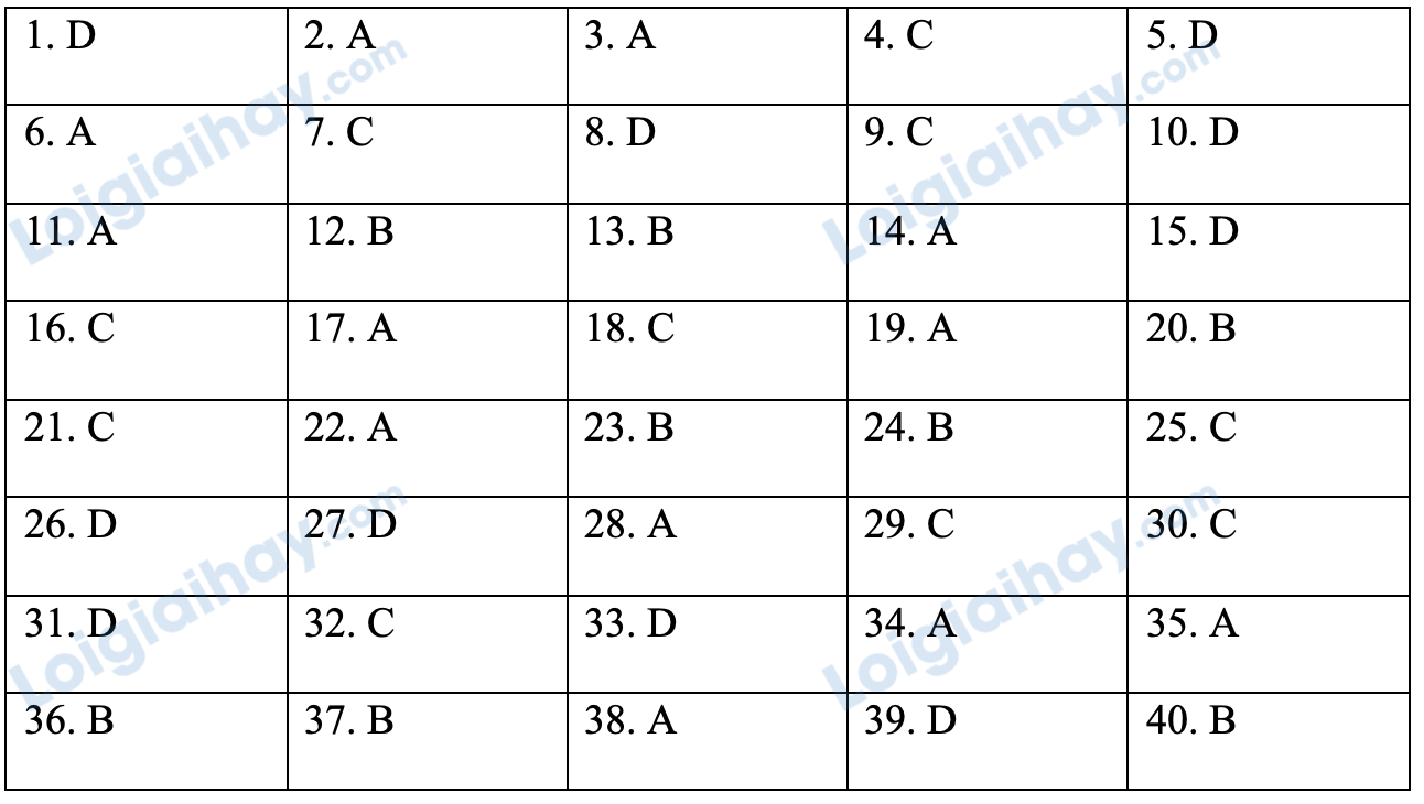 Đề thi thử vào lớp 6 môn Tiếng Anh trường THCS&THPT Lương Thế Vinh năm 2022 - Đề số 2 1 1