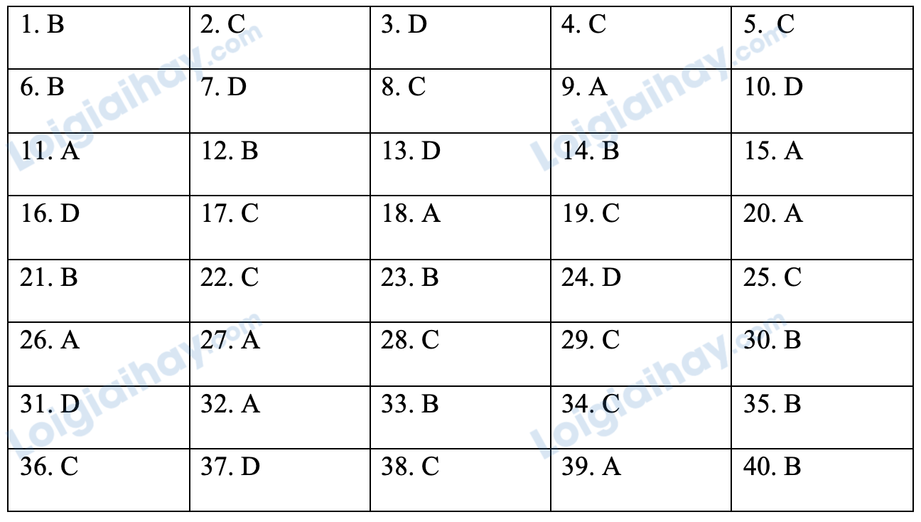 Đề thi thử vào lớp 6 môn Tiếng Anh trường THCS&THPT Lương Thế Vinh năm 2022 - Đề số 3 1 1