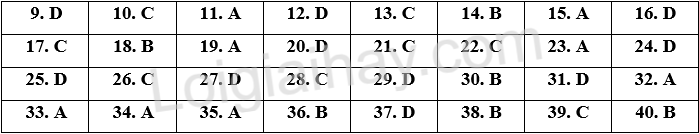 Đề thi vào 10 môn Anh Bắc Giang năm 2025 1 1