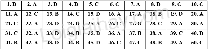 Đề thi vào 10 môn Anh Bắc Kạn năm 2025 1 1