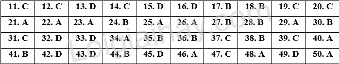 Đề thi vào 10 môn Anh Bắc Ninh năm 2025 1 1