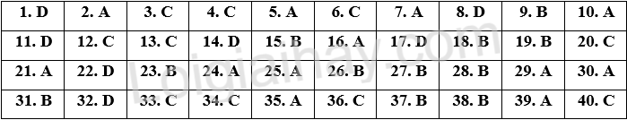 Đề thi vào 10 môn Anh Bình Phước năm 2025 1 1