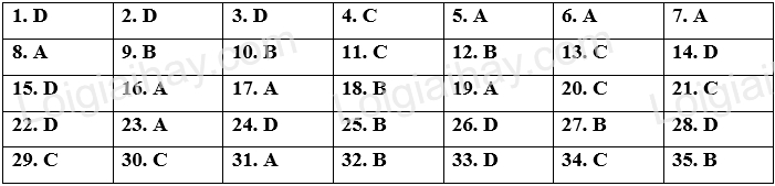 Đề thi vào 10 môn Anh Cần Thơ năm 2023 1 1