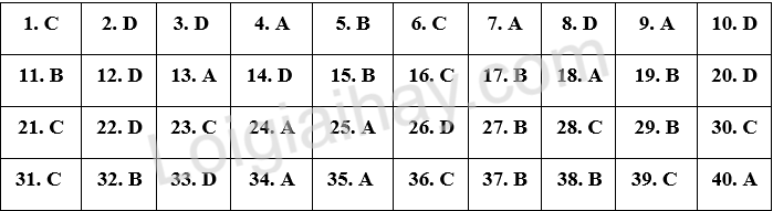 Đề thi vào 10 môn Anh Đắk Lắk năm 2025 1 1