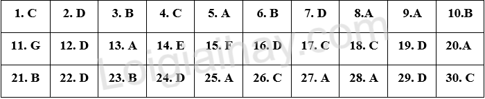 Đề thi vào 10 môn Anh Đồng Nai năm 2025 1 1