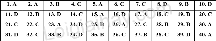 Đề thi vào 10 môn Anh Hà Nội năm 2025 1 1