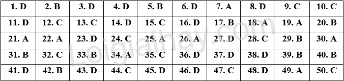 Đề thi vào 10 môn Anh Hải Dương năm 2025 1 1